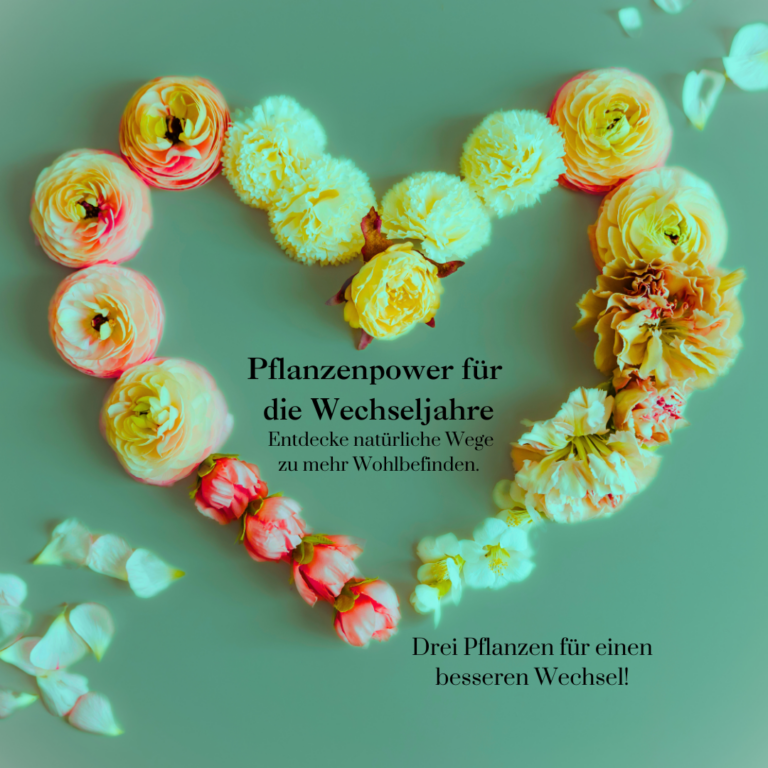 Pflanzenpower für die Wechseljahre:  natürliche Wege zu mehr Wohlbefinden