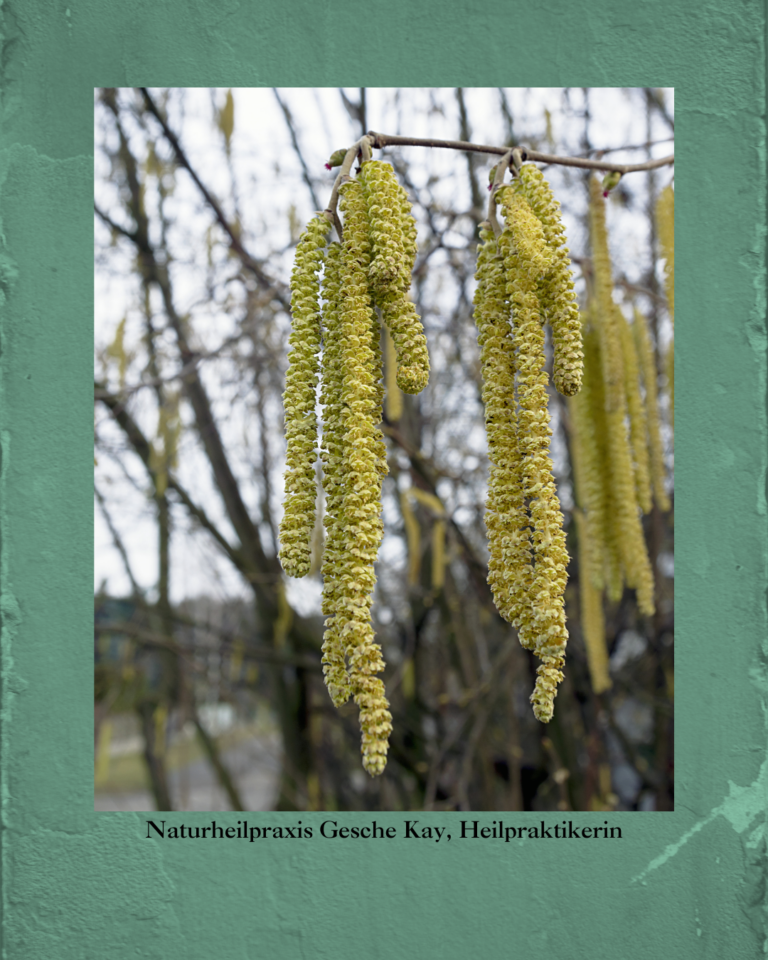 Frühlingsallergie? Mit diesen Tipps kommst du beschwerdefrei durch die Saison!