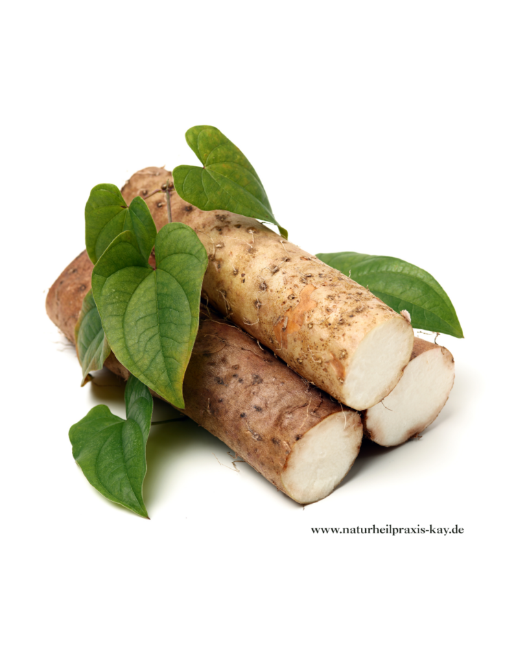 naturheilpraxis-kay.de