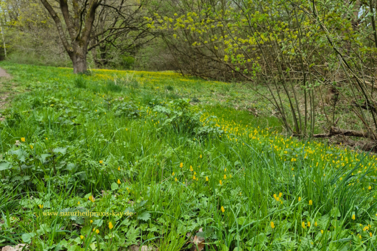 Dein Körper verändert sich in den Wechseljahren. Und das ist kein Zufall.